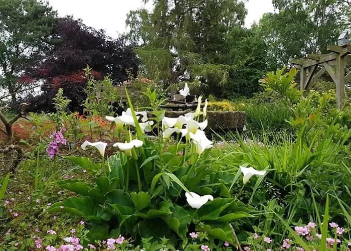 Secret Cottage In The Garden