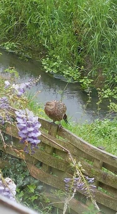 Hébergement de vacances Secret In The Garden Welton (Lincolnshire)