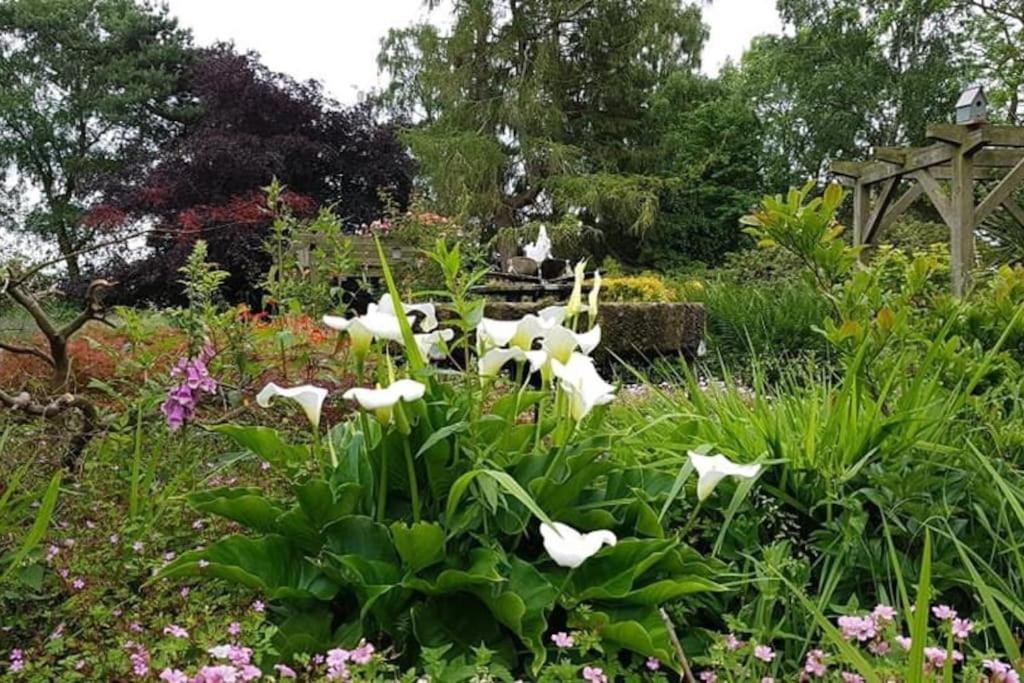 Secret In The Garden