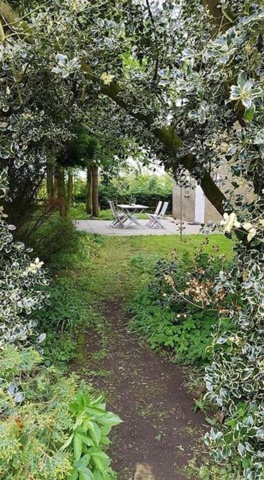Secret In The Garden *